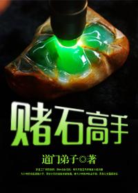 透视赌石高手