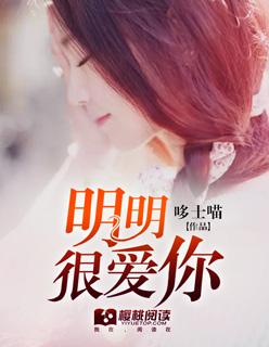 明明很爱你歌词是什么意思