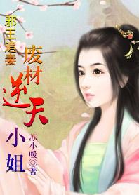 误惹妖孽王爷废材逆天四小姐全集
