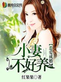 惹爱成婚·染指首席总裁番外