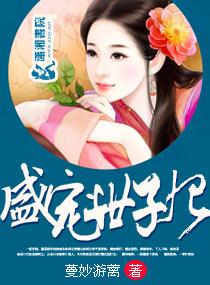 盛宠之嫡女宸王妃