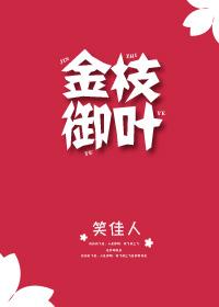 笑佳人的书哪本最好看