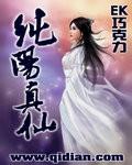 纯阳仙鉴百度百科