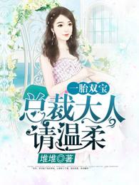 一胎双宝总裁大人夜夜欢 第3044章