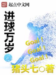进球万岁顶点