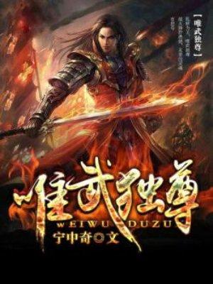 唯武独尊游戏怎么样