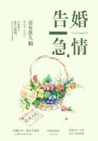 婚情告急战少