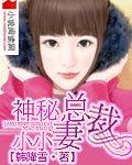 神秘总裁小小妻讲的什么