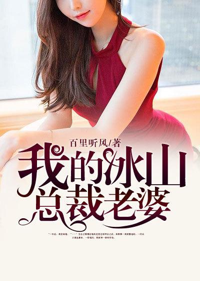 我的冰山总裁老婆林雪李清风