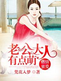 老公大人太撩人免费阅读