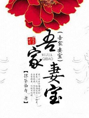 吾家妻宝原版TXT