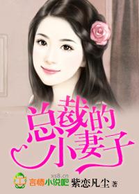 总裁的老婆叫啥