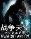战争天堂的剧情简介