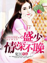 情深不晚txt