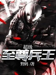 超级至尊兵王叶秋