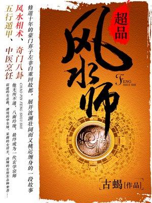 超品风水师全集