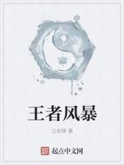 王者风暴吧
