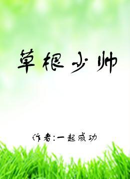 都市草根少帅