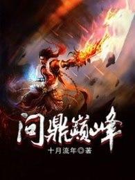问鼎巅峰TXT免费
