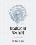 抗战之血染山河 第437章