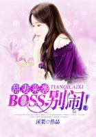 boss别闹安音最新章节