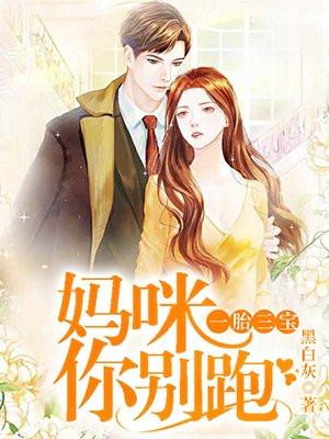 一胎三宝妈咪你别跑爱书txt