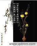 名门记事久岚免费阅读