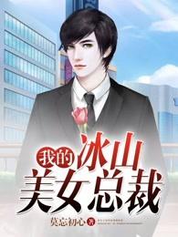 我的冰山美女总裁江阳柳冰