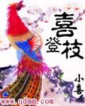喜登枝劳保鞋多少钱一双