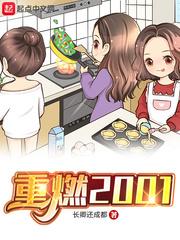 重燃2001txt