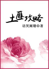 土匪攻略TXT资源
