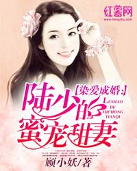 陆晚晚顾