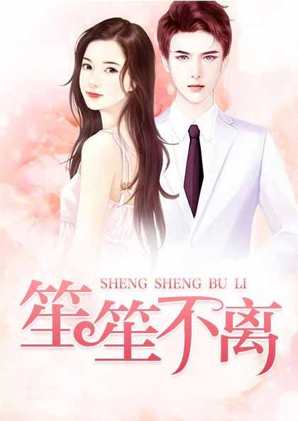 女主叫顾南笙的