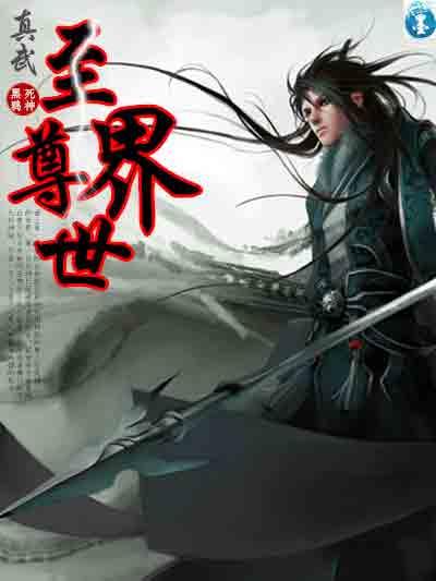 真武界尊全集