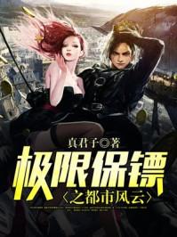 极限保镖txt