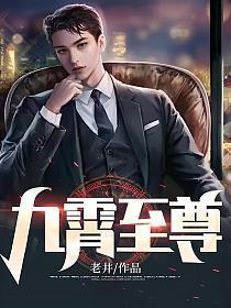 九霄至尊赵平安笔趣阁免费阅读
