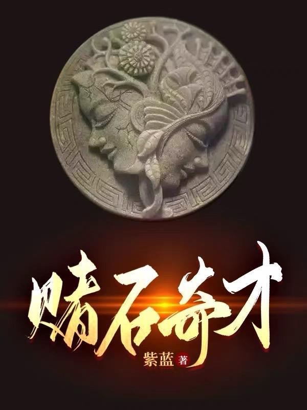 赌石从误入缅北开始何垚