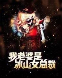 我老婆是冰山女总裁沈浪更