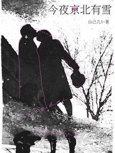 今夜京北有雪TXT资源