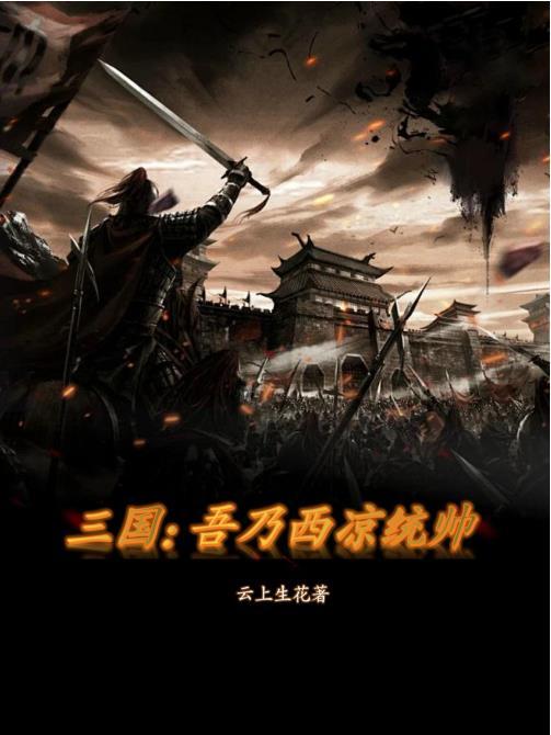 三国之西凉鄙夫123