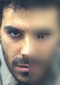 libido 原欲飞机能飞
