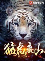 猛虎离山 第673章