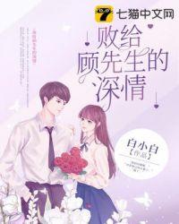 败给顾先生的深情阅读