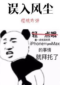 误入风尘的爱情在线阅读