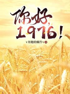 你好1976全本txt免费