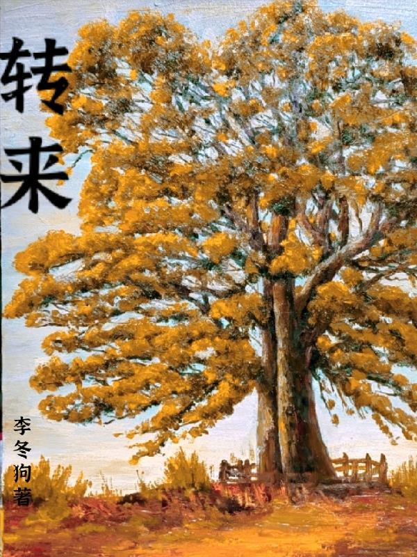 转来转去 拼音