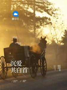 职路风云许辉