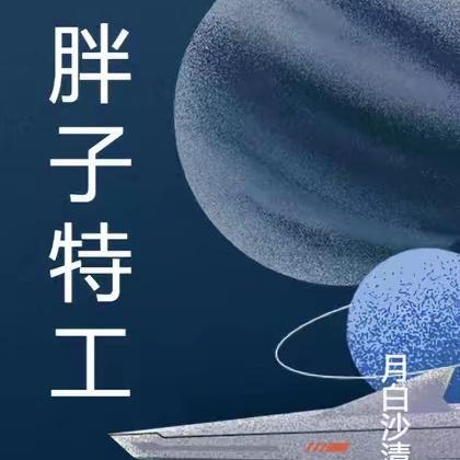 胖子特工谁演的