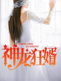 神龙狂婿林凡最新