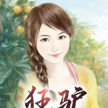 播放驴的